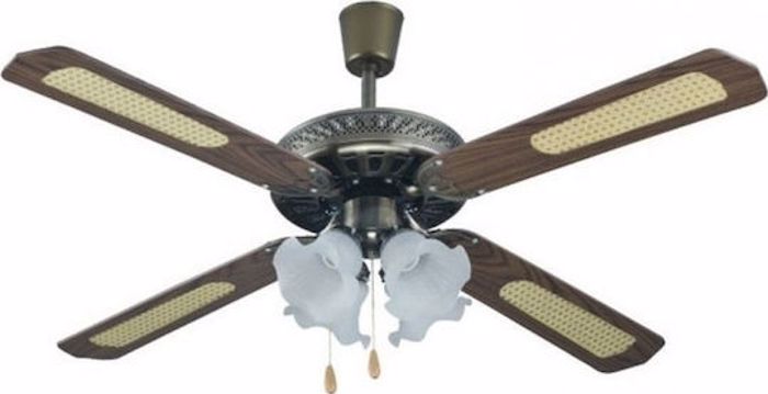 Anemistiras Orofis Primo WS52-4C4L/PRCF-80279 Kafe